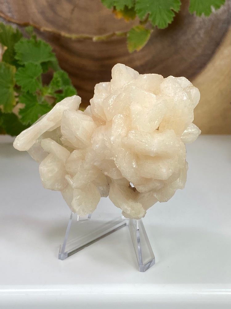 
                  
                    Load image into Gallery viewer, Stilbite Crystals w/ Apophyllite in Matrix from Nashik, India - Natural Zeolite Display Piece Perfect for Mineral Collections + Metaphysics
                  
                