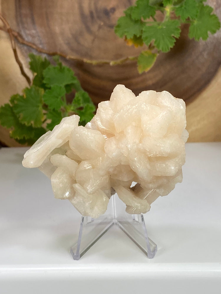 Stilbite Crystals w/ Apophyllite in Matrix from Nashik, India - Natural Zeolite Display Piece Perfect for Mineral Collections + Metaphysics