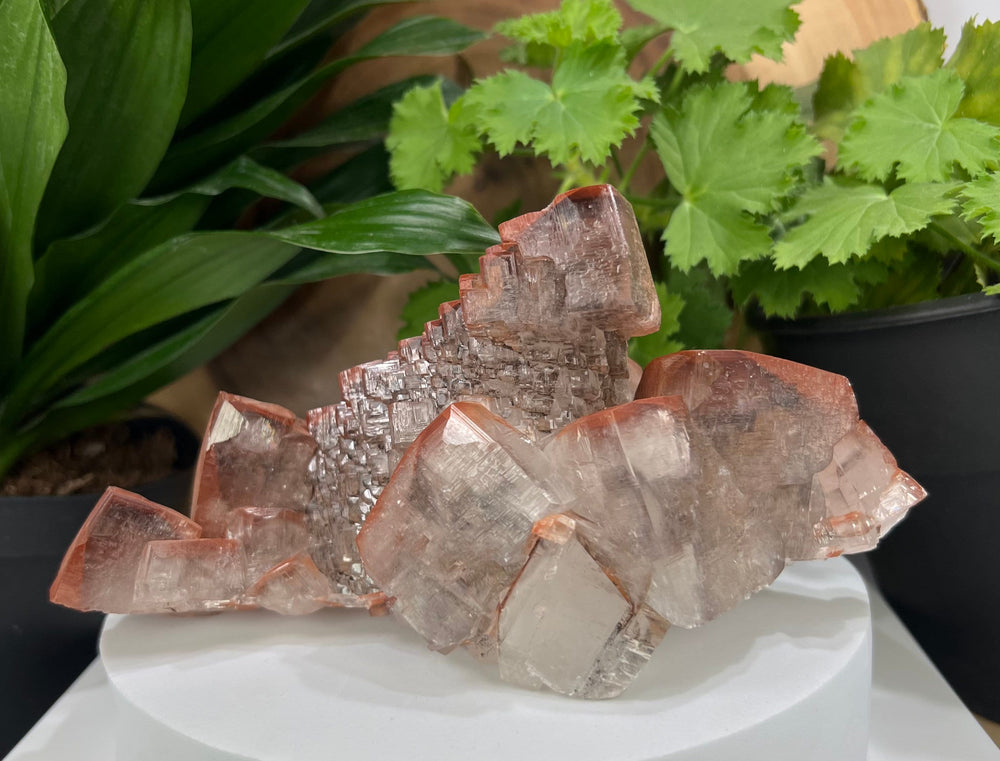 Hematite Included Elestial Calcite Crystal Cluster from The Daye Mine, Hubei Province - Natural Mineral Display Piece Perfect for Collectors