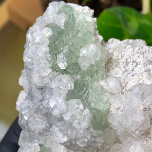 
                  
                    Load image into Gallery viewer, Etched Green Fluorite w/ Fluorescent Calcite Crystals in Matrix from The Xianghualin Mine, China - The Perfect Gift for Mineral Collectors
                  
                