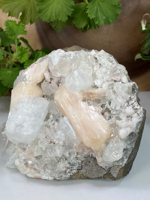 
                  
                    Load image into Gallery viewer, Apophyllite Crystals with Peach Stilbite and Chalcedony in Matrix from Nashik, India - Natural Zeolite Display Piece Perfect for Collections
                  
                