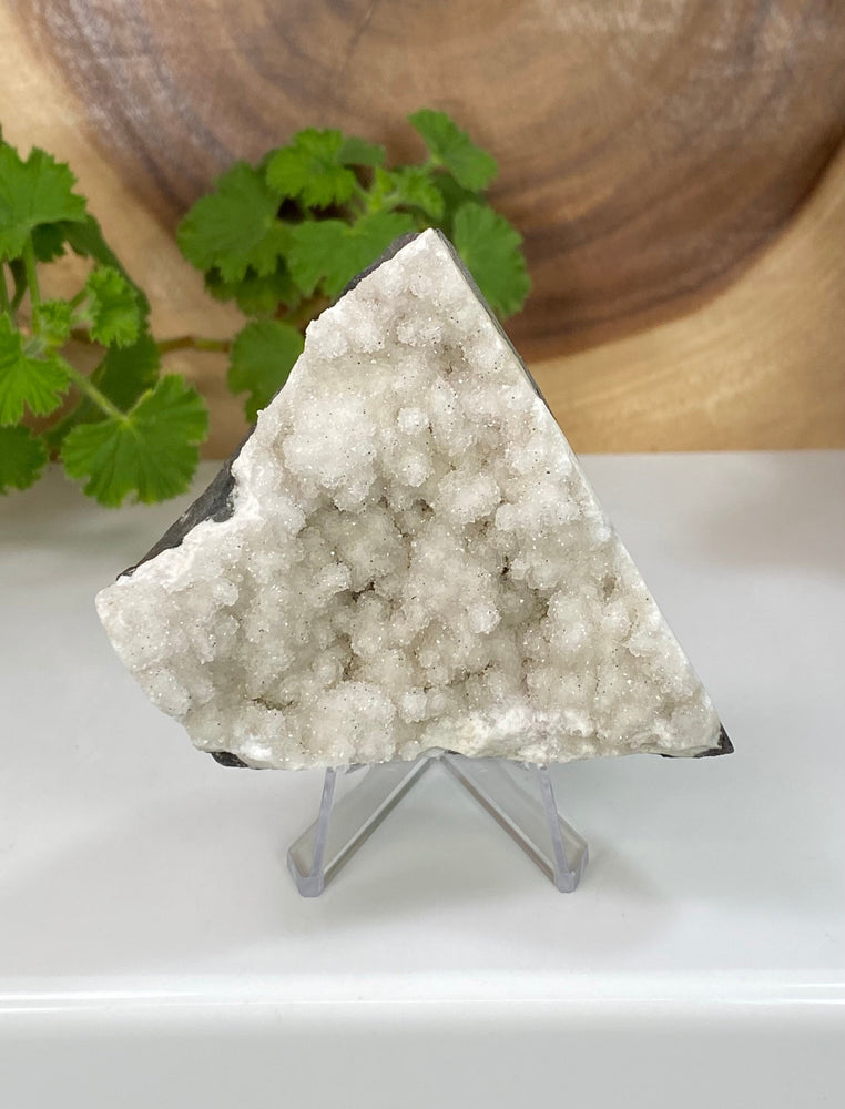 
                  
                    Load image into Gallery viewer, Druzy Chalcedony in Matrix from Nashik, India - Natural Zeolite Display Piece Perfect for Mineral Collections + Metaphysical use SALE PRICE
                  
                