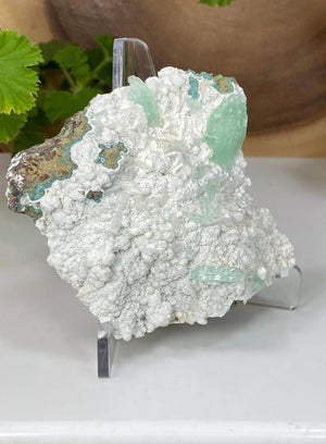 
                  
                    Load image into Gallery viewer, Green Apophyllite w/ White Chalcedony from Nashik, India - Natural Zeolite Display Piece Perfect for Mineral Collections and Crystal Healing
                  
                