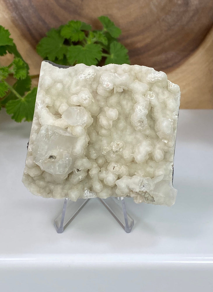 
                  
                    Load image into Gallery viewer, Apophyllite Crystals in Chalcedony Matrix from Nashik, India - Natural Zeolite Display Piece Perfect for Mineral Collections and Metaphysics
                  
                