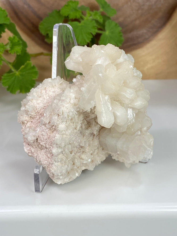 
                  
                    Load image into Gallery viewer, Stilbite Crystals w/ Apophyllite in Matrix from Nashik, India - Natural Zeolite Display Piece Perfect for Mineral Collections + Metaphysics
                  
                