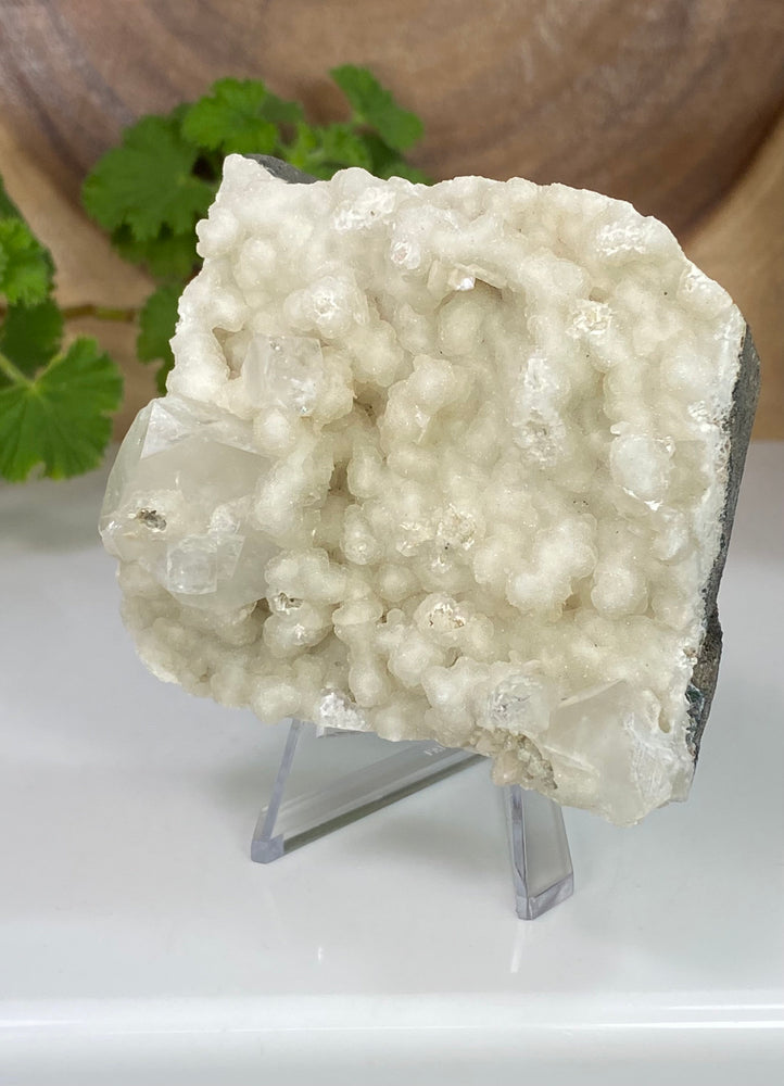 
                  
                    Load image into Gallery viewer, Apophyllite Crystals in Chalcedony Matrix from Nashik, India - Natural Zeolite Display Piece Perfect for Mineral Collections and Metaphysics
                  
                