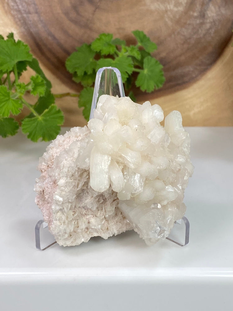 Stilbite Crystals w/ Apophyllite in Matrix from Nashik, India - Natura ...