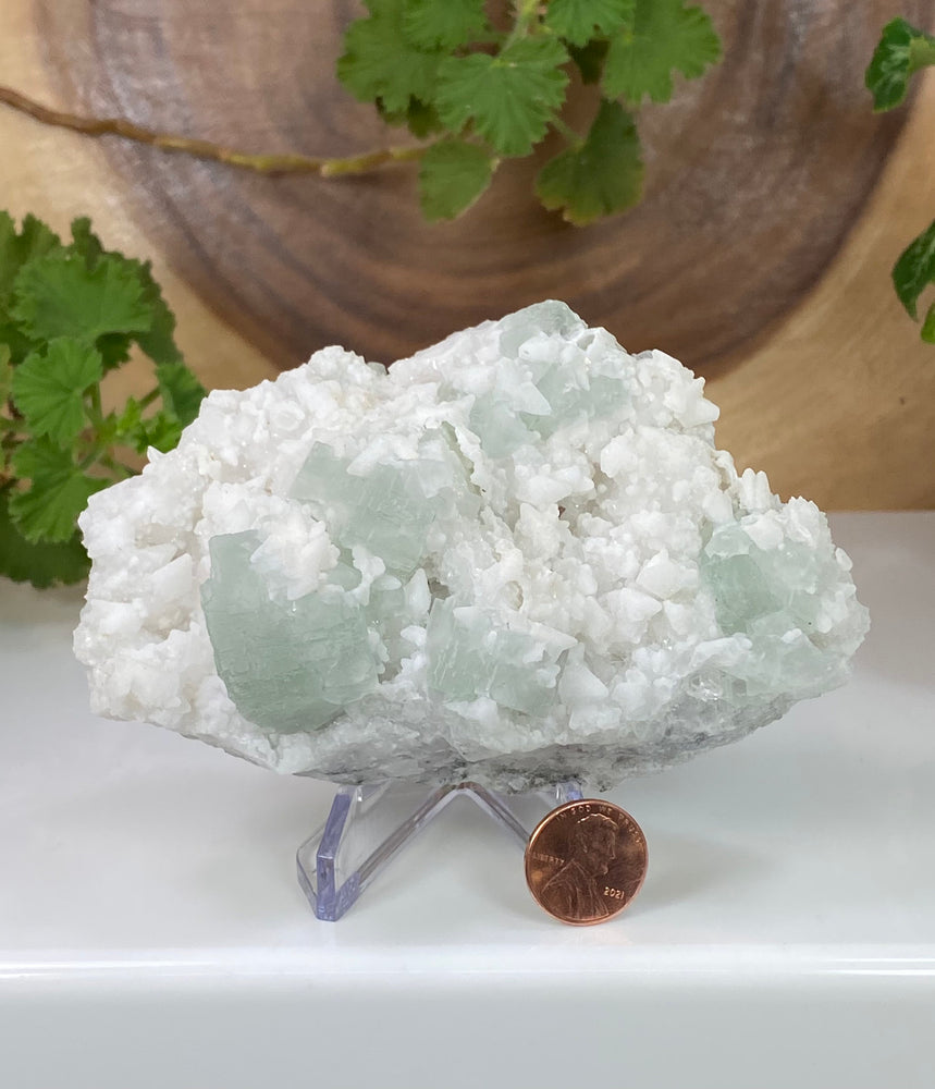 
                  
                    Load image into Gallery viewer, Green Fluorite Crystals w/ Calcite Epimorphs in Matrix from The Hunan Province, China - Natural Fluorescent Mineral Display Piece - On Sale
                  
                
