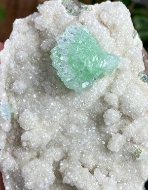 
                  
                    Load image into Gallery viewer, Gem Green Apophyllite Flower in Druzy Chalcedony Matrix from Nashik, India - Natural Zeolite Display Piece Perfect for Mineral Collections
                  
                