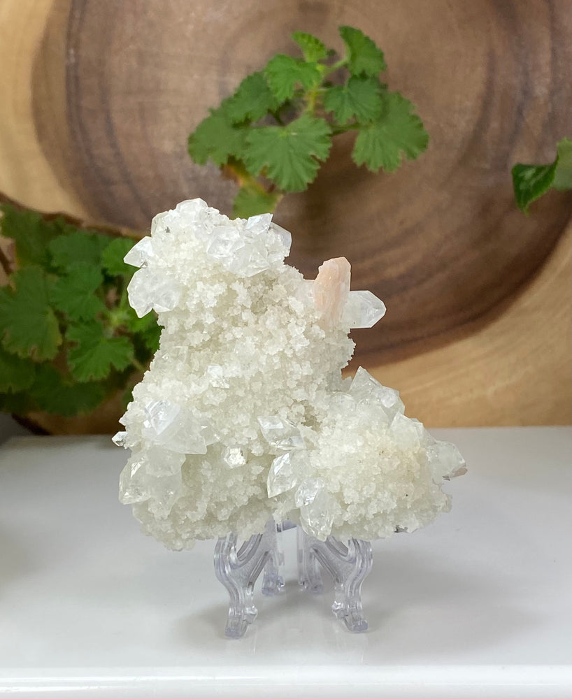 Apophyllite and Peach Stilbite in Druzy Chalcedony Matrix from Nashik, India - Natural Zeolite Display Piece Perfect for Mineral Collections