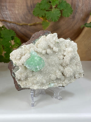 
                  
                    Load image into Gallery viewer, Gem Green Apophyllite Flower in Druzy Chalcedony Matrix from Nashik, India - Natural Zeolite Display Piece Perfect for Mineral Collections
                  
                