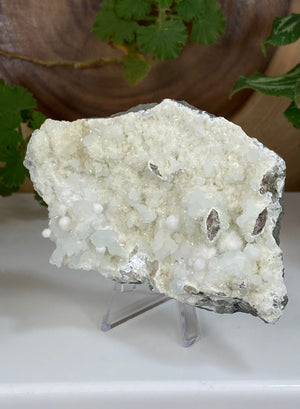 
                  
                    Load image into Gallery viewer, Prehnite Crystals, Okenite, Quartz on Druzy Chalcedony from Nashik India Natural Display Piece Perfect for Mineral Collections + Metaphysics
                  
                
