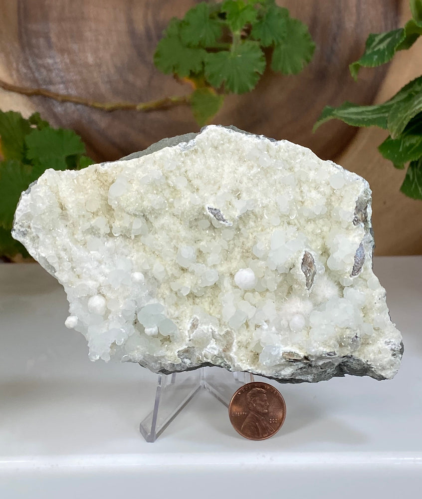 
                  
                    Load image into Gallery viewer, Prehnite Crystals, Okenite, Quartz on Druzy Chalcedony from Nashik India Natural Display Piece Perfect for Mineral Collections + Metaphysics
                  
                