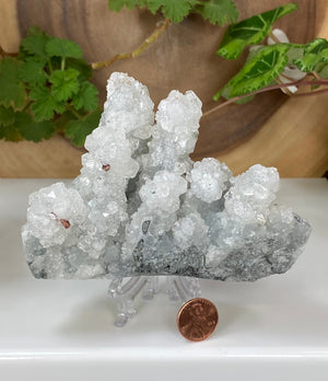 
                  
                    Load image into Gallery viewer, Apophyllite Crystals w/ Heulandite and Chalcedony from Nashik India - Natural Zeolite Display Piece Perfect for Mineral Collectors + Healing
                  
                