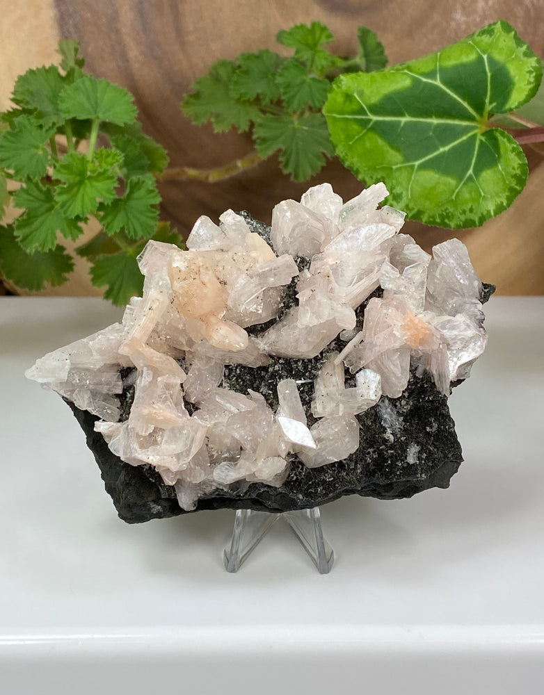 Gem Heulandite Crystals w/ Peach Stilbite in Matrix from Nashik, India - Natural Zeolite Display Piece Perfect for Mineral Collections
