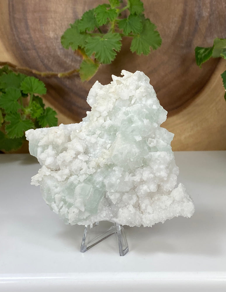 
                  
                    Load image into Gallery viewer, Green Fluorite Crystals w/ Calcite Epimorphs in Matrix from The Hunan Province, China - Natural Fluorescent Mineral Display Piece - On Sale
                  
                