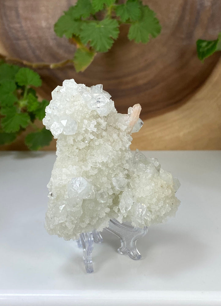 
                  
                    Load image into Gallery viewer, Apophyllite and Peach Stilbite in Druzy Chalcedony Matrix from Nashik, India - Natural Zeolite Display Piece Perfect for Mineral Collections
                  
                