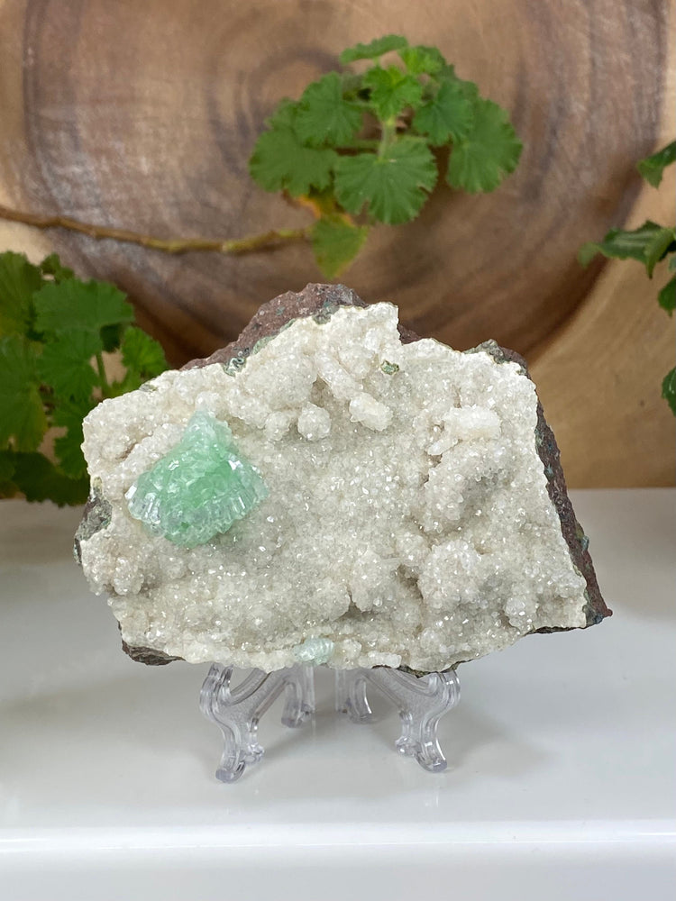 Gem Green Apophyllite Flower in Druzy Chalcedony Matrix from Nashik, India - Natural Zeolite Display Piece Perfect for Mineral Collections