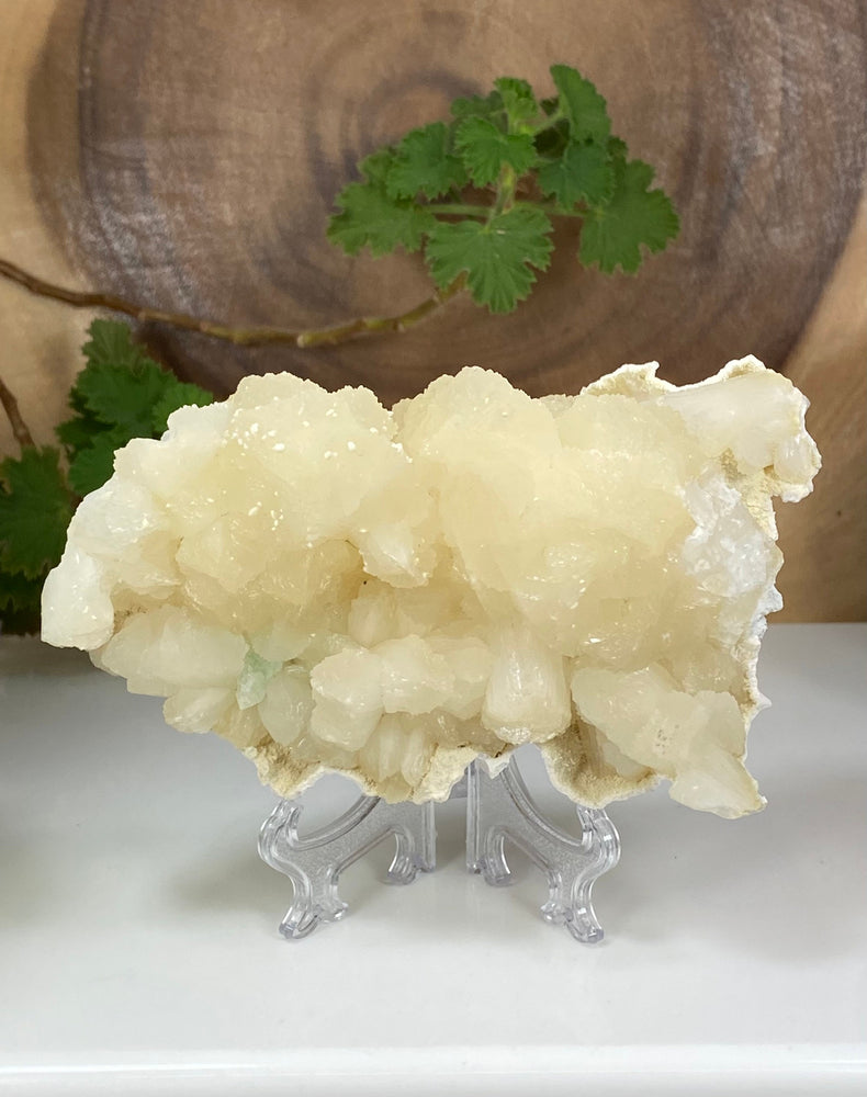 Stilbite Cluster w/ Apophyllite in Matrix from Nashik India - Natural Zeolite Display Piece Perfect for Mineral Collectors + Metaphysics