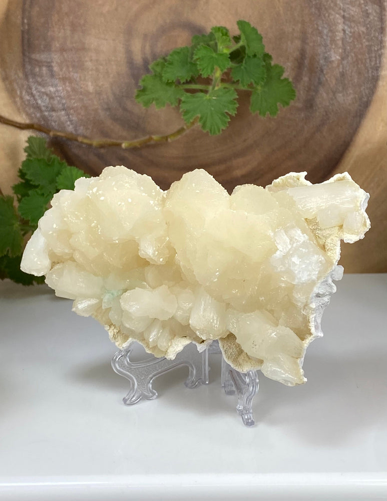 
                  
                    Load image into Gallery viewer, Stilbite Cluster w/ Apophyllite in Matrix from Nashik India - Natural Zeolite Display Piece Perfect for Mineral Collectors + Metaphysics
                  
                