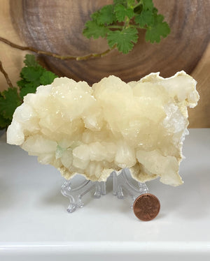 
                  
                    Load image into Gallery viewer, Stilbite Cluster w/ Apophyllite in Matrix from Nashik India - Natural Zeolite Display Piece Perfect for Mineral Collectors + Metaphysics
                  
                