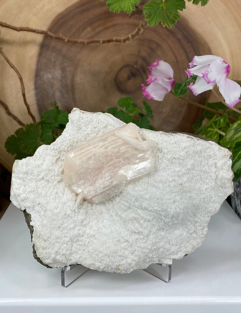 
                  
                    Load image into Gallery viewer, Heulandite Crystals on Druzy White Chalcedony from Nashik, India - Natural Zeolite Display Piece Perfect for Collectors and Metaphysical Use
                  
                
