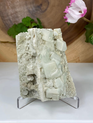 
                  
                    Load image into Gallery viewer, Included Light Green Fluorite Crystals Clustered in Matrix the Fujian Province - Natural Display Piece Perfect for Mineral Collectors SALE
                  
                