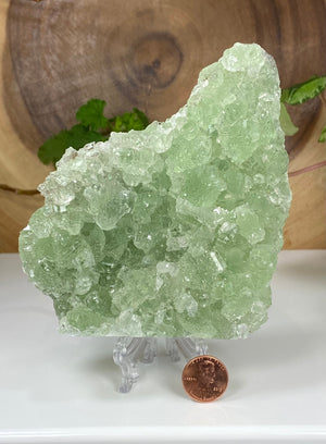 
                  
                    Load image into Gallery viewer, Green Fluorite Crystals in Matrix from the Hunan Province - Natural Fluorescent Display Piece Perfect for Mineral Collectors + Metaphysics
                  
                