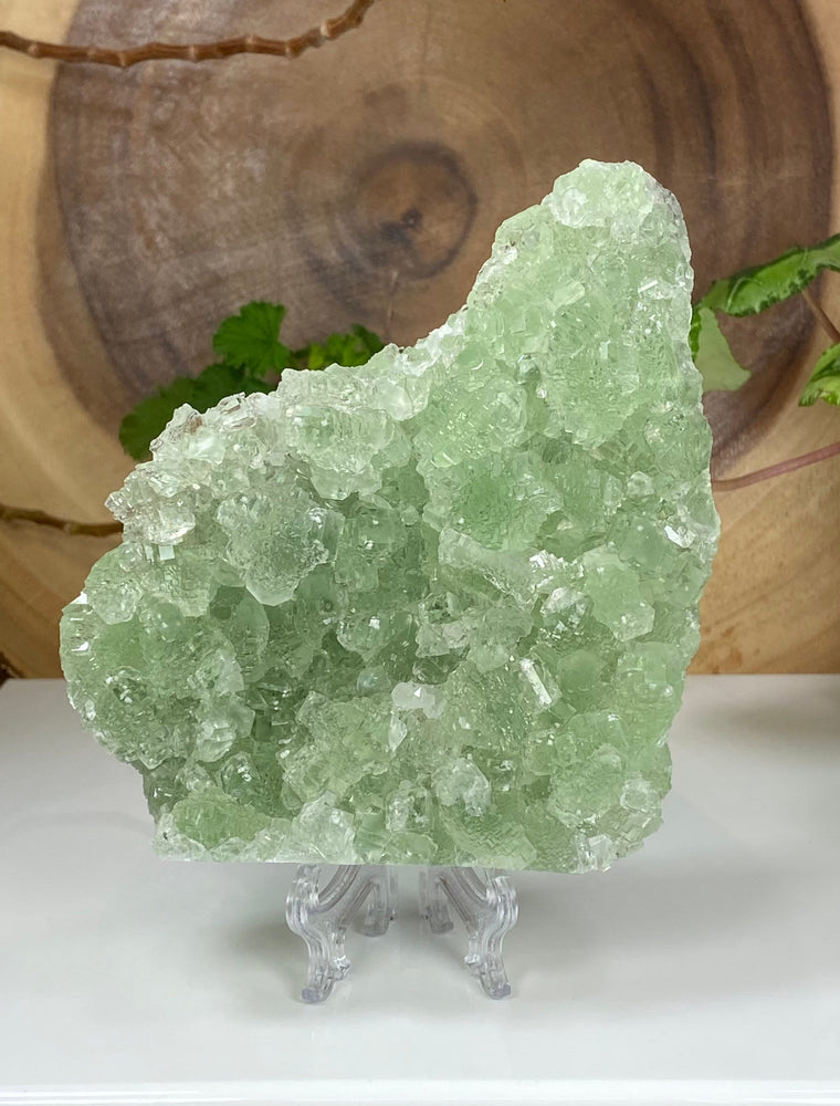 
                  
                    Load image into Gallery viewer, Green Fluorite Crystals in Matrix from the Hunan Province - Natural Fluorescent Display Piece Perfect for Mineral Collectors + Metaphysics
                  
                