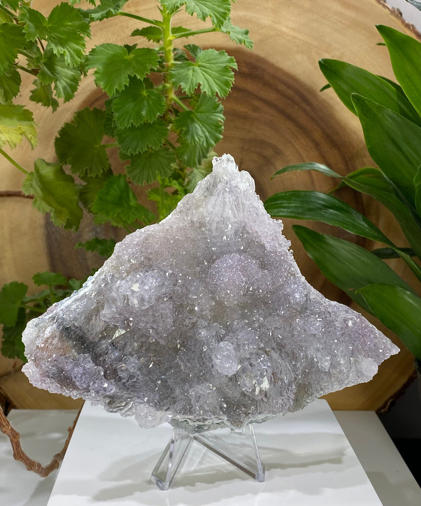
                  
                    Load image into Gallery viewer, Flower Amethyst Cluster Plate from Rio Do Sul Brazil - Natural Mineral Display Piece Perfect for Crystal Collections and Healing Benefits
                  
                