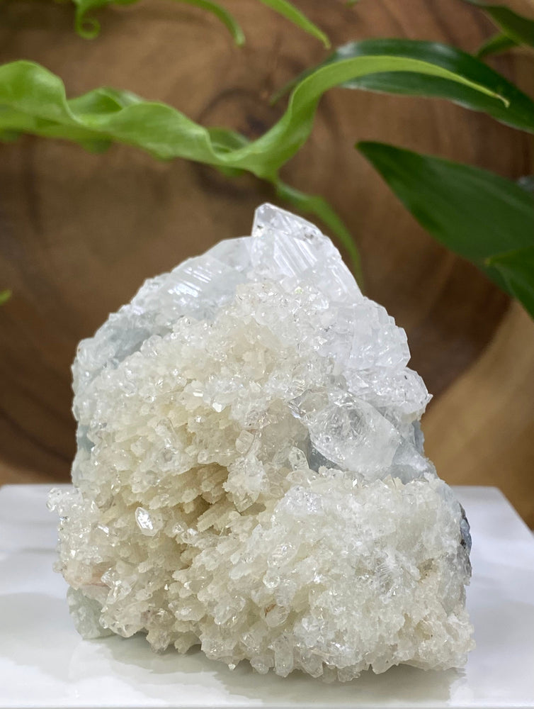 
                  
                    Load image into Gallery viewer, Apophyllite with Druzy Chalcedony in Matrix from Nashik, India - Natural Zeolite Display Piece Perfect for Mineral Collections
                  
                