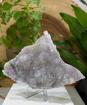 
                  
                    Load image into Gallery viewer, Flower Amethyst Cluster Plate from Rio Do Sul Brazil - Natural Mineral Display Piece Perfect for Crystal Collections and Healing Benefits
                  
                