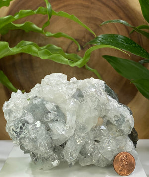 
                  
                    Load image into Gallery viewer, Apophyllite and Stilbite w/ Chalcedony in Matrix from Nashik India - Natural Zeolite Display Piece Perfect for Mineral Collections + Healing
                  
                