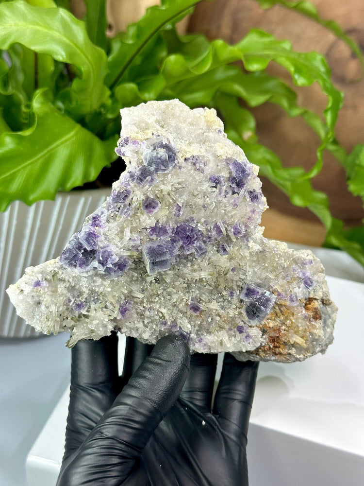 Purple Saturated Fluorite Crystals with Chlorite, Quartz, and Pyrite from The Hunan Province Perfect for Mineral Collections + Metaphysics
