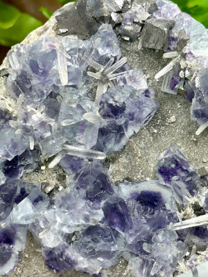 
                  
                    Load image into Gallery viewer, Light Blue Fluorite Crystals with Purple Saturation Clustered on Natural Matrix with Arsenopyrite and Quartz from The Hunan Province - SALE
                  
                
