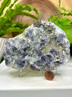 
                  
                    Load image into Gallery viewer, Light Blue Fluorite Crystals with Purple Saturation Clustered on Natural Matrix with Arsenopyrite and Quartz from The Hunan Province - SALE
                  
                