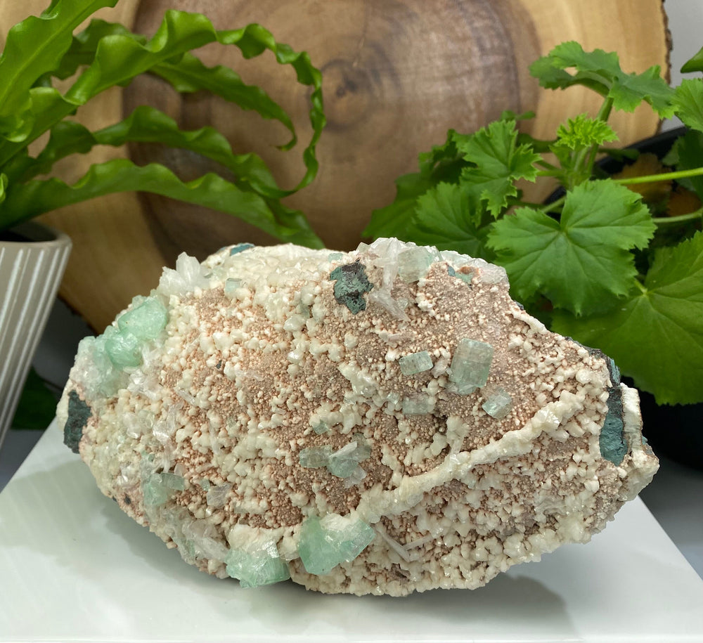 
                  
                    Load image into Gallery viewer, Green Apophyllite Crystals with Stilbite and Heulandite from Nashik, India - Natural Zeolite Display Piece Perfect for Mineral Collectors
                  
                