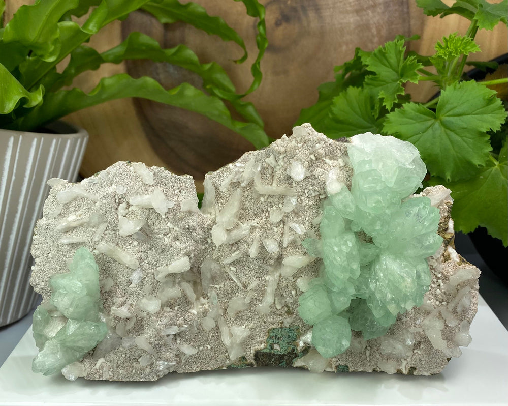 Green Apophyllite Crystals w/ Stilbite + Chalcedony Matrix from Nashik India - Natural Zeolite Display Piece Perfect for Mineral Collectors