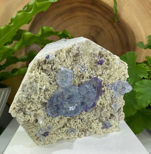 
                  
                    Load image into Gallery viewer, Blue Fluorite with Purple Saturation with Quartz Crystals and Pyrite in Matrix from The Hunan Province - Natural Mineral Display Piece SALE
                  
                