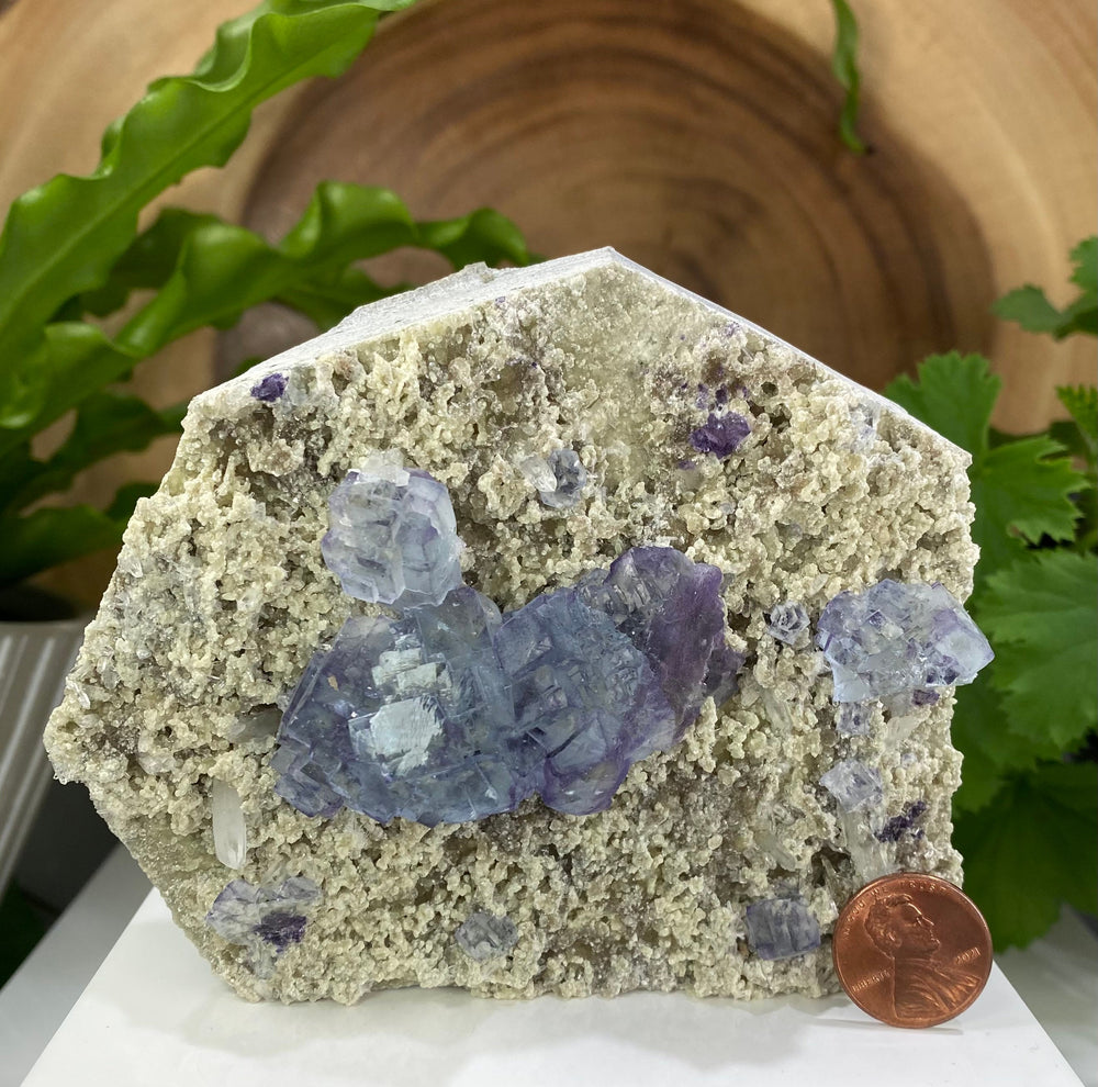 
                  
                    Load image into Gallery viewer, Blue Fluorite with Purple Saturation with Quartz Crystals and Pyrite in Matrix from The Hunan Province - Natural Mineral Display Piece SALE
                  
                