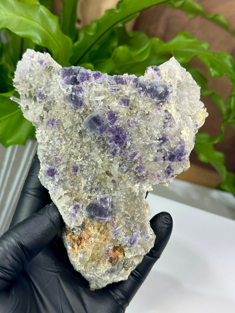 
                  
                    Load image into Gallery viewer, Purple Saturated Fluorite Crystals with Chlorite, Quartz, and Pyrite from The Hunan Province Perfect for Mineral Collections + Metaphysics
                  
                
