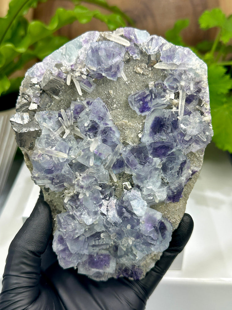 Light Blue Fluorite Crystals with Purple Saturation Clustered on Natural Matrix with Arsenopyrite and Quartz from The Hunan Province - SALE