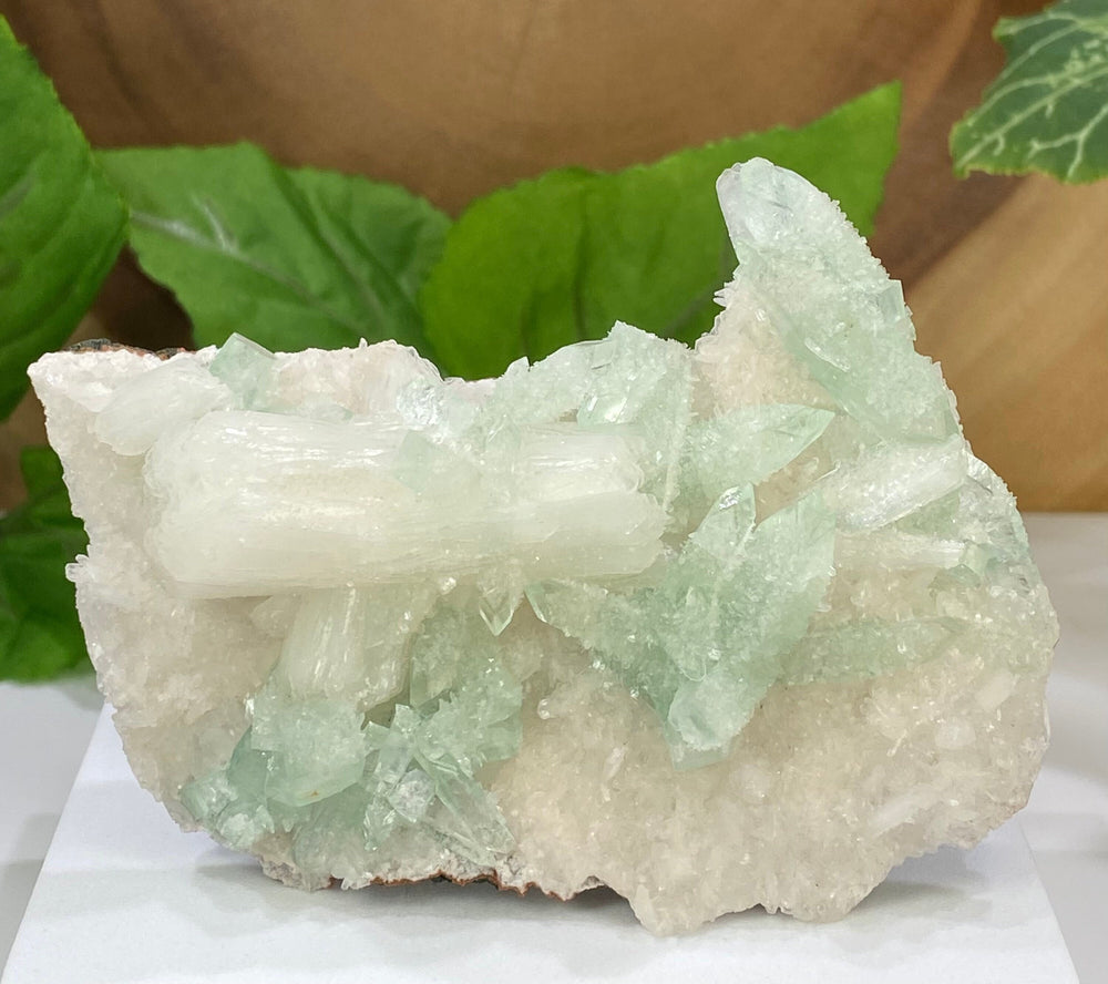 Light Green Apophyllite var. Fluorapophyllite Crystals with Stilbite and Heulandite from Nashik, India - Beautiful Natural Collectors Piece