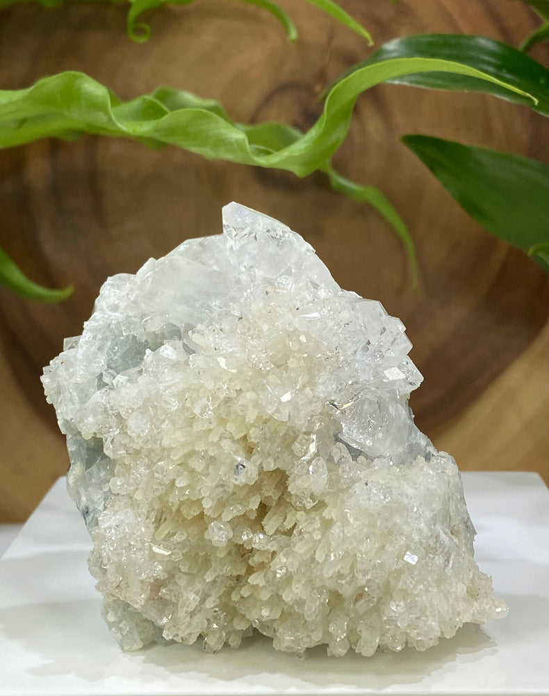 Apophyllite with Druzy Chalcedony in Matrix from Nashik, India - Natural Zeolite Display Piece Perfect for Mineral Collections