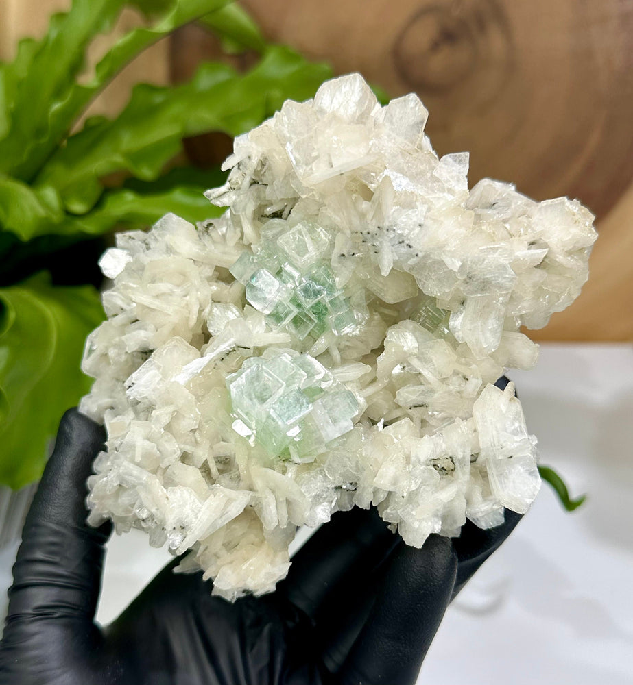 Disco Ball Apophyllite Crystals w/ Stilbite and Mordenite from Ahmednagar, Maharashtra, India - Perfect for Mineral Collections + Healing