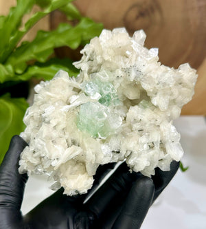 
                  
                    Load image into Gallery viewer, Disco Ball Apophyllite Crystals w/ Stilbite and Mordenite from Ahmednagar, Maharashtra, India - Perfect for Mineral Collections + Healing
                  
                