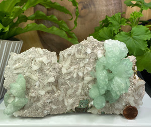 
                  
                    Load image into Gallery viewer, Green Apophyllite Crystals w/ Stilbite + Chalcedony Matrix from Nashik India - Natural Zeolite Display Piece Perfect for Mineral Collectors
                  
                