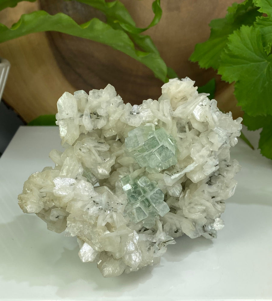 
                  
                    Load image into Gallery viewer, Disco Ball Apophyllite Crystals w/ Stilbite and Mordenite from Ahmednagar, Maharashtra, India - Perfect for Mineral Collections + Healing
                  
                