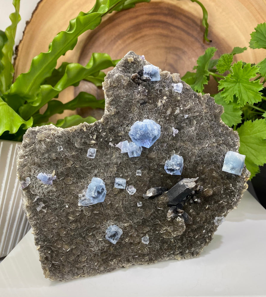 
                  
                    Load image into Gallery viewer, Blue Fluorite Crystals with Smoky Quartz in Matrix - Natural Beautiful Display Piece Perfect for Mineral Collectors + Metaphysical Use SALE
                  
                