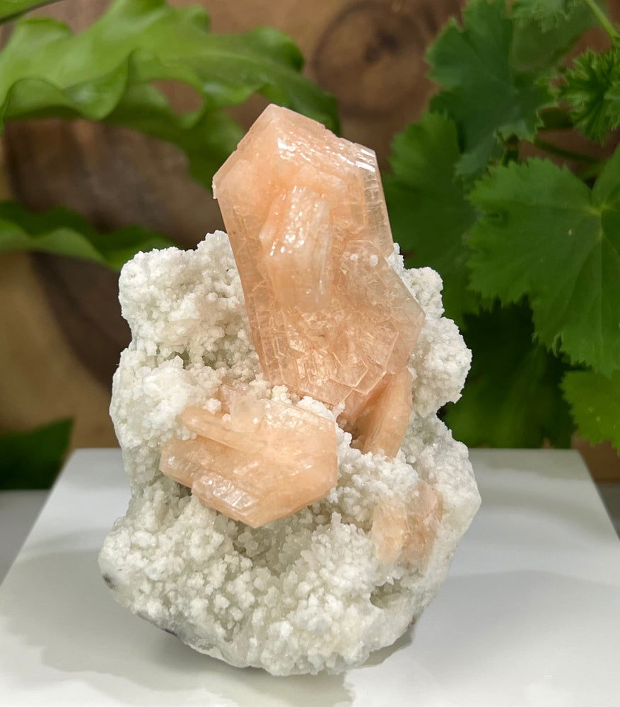 Peach Stilbite Crystals w/ Druzy White Chalcedony from Nashik, India - Natural Display Piece Perfect for Mineral Collections + Metaphysics